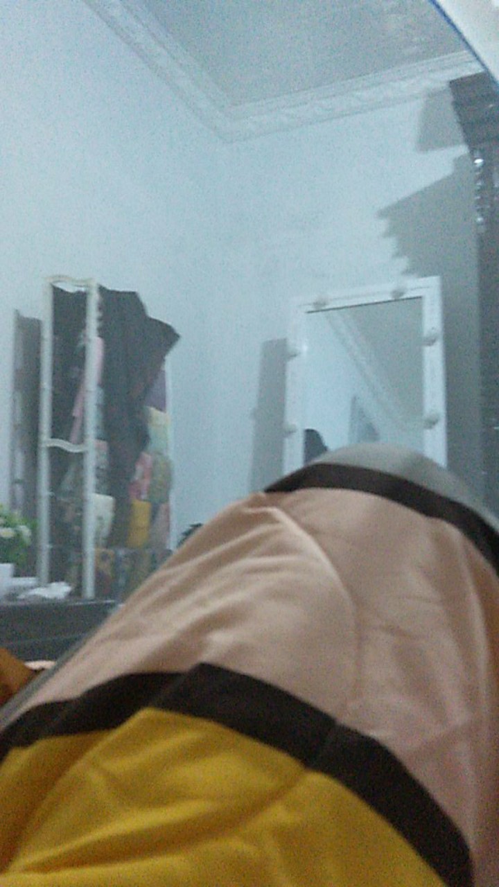 Wall Sticker Bingkai Daun Floral Wallsticker Sibd