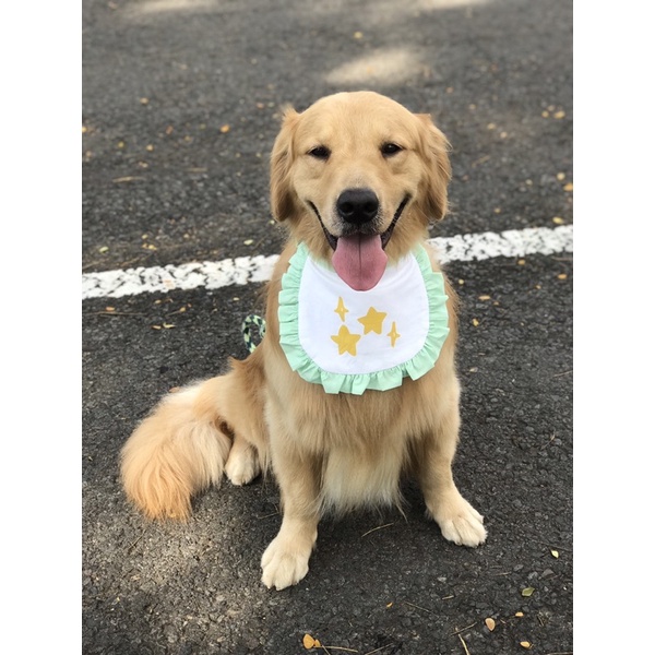 dog baby bib / bib bayi anjing / celemek anjing (SPARKLES)