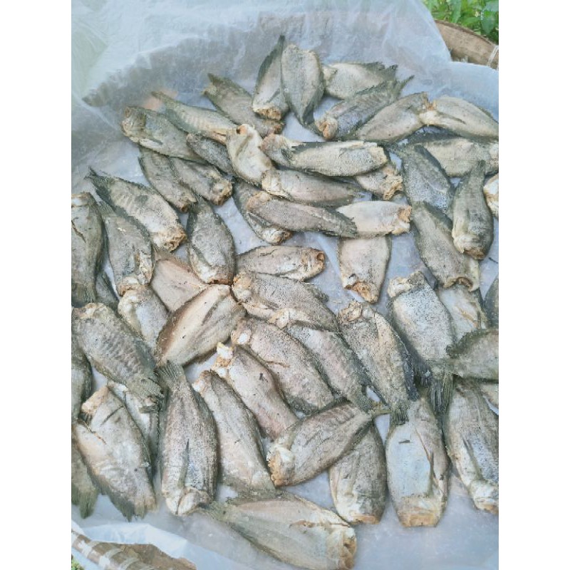 

Ikan Asin Sepat Palembang Sedang hargaper 250gr