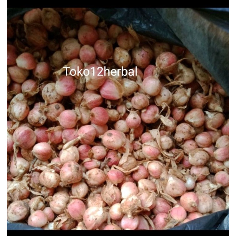 

kapulaga basah per 1kg