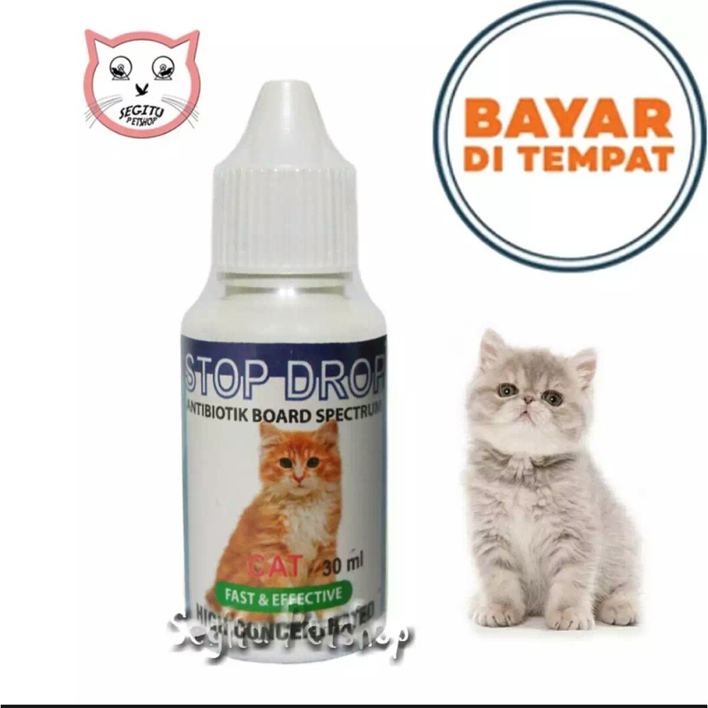 Obat Kucing Demam Diare STOP DROP