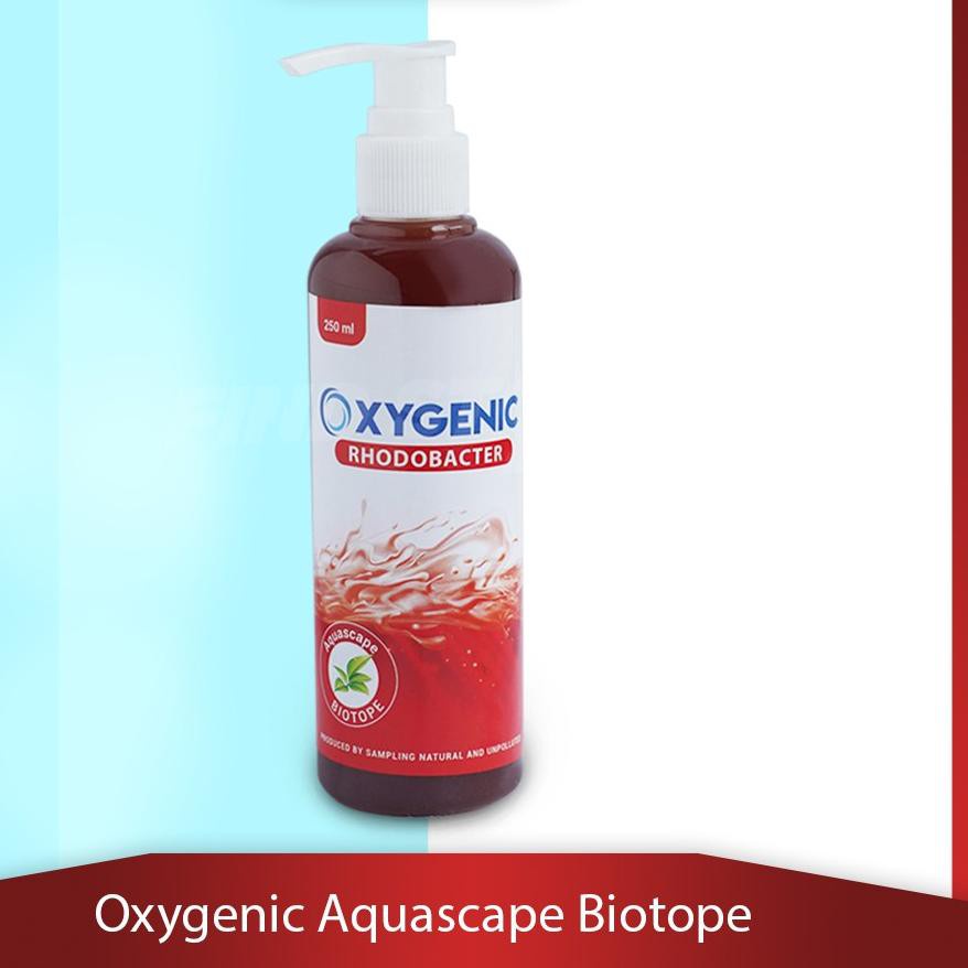 Oxygenic Aquarium Aquascape Rhodobacter bacteri starter 250ml