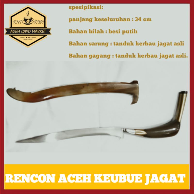 TERLARIS & TERBARU Souvenir Rencong Aceh Tanduk Kerbau Bule Original Bilah Besi Putih Asli panjang.