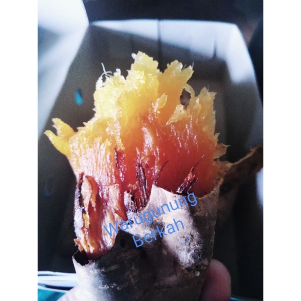 

UBI MADU CILEMBU MATANG (OVEN) Khas Pacet