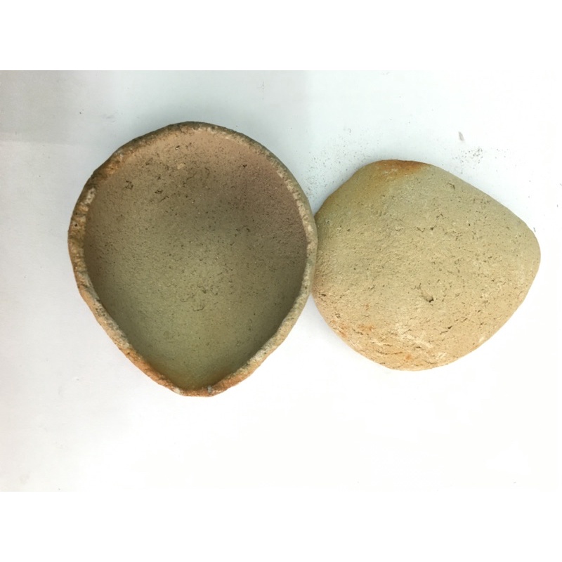 KOWI-kowi Padang kecil ukuran 5cm