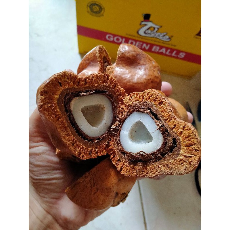 

zuriyatmesir