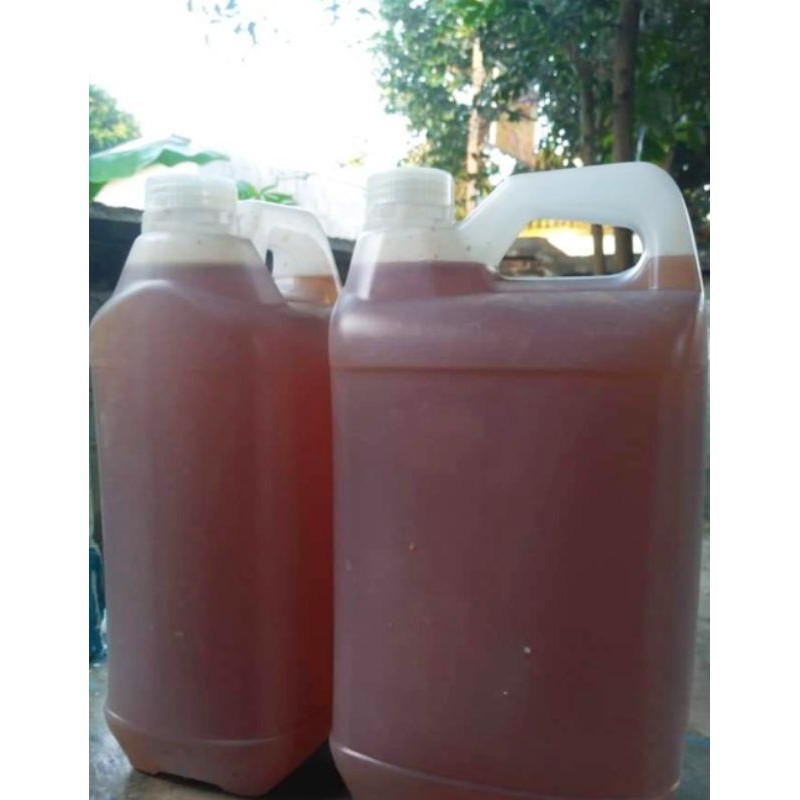

Madu hutan