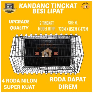 Kucing Tingkat Foto Kandang