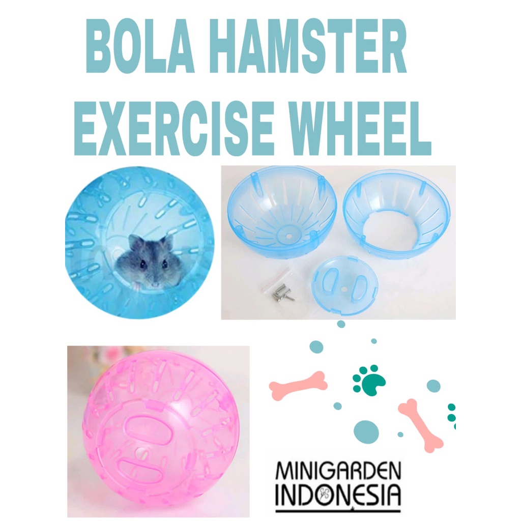 EXERCISE WHEEL BOLA MAINAN HAMSTER SUGAR GLIDER RT-679 bola putar jogging 13cm