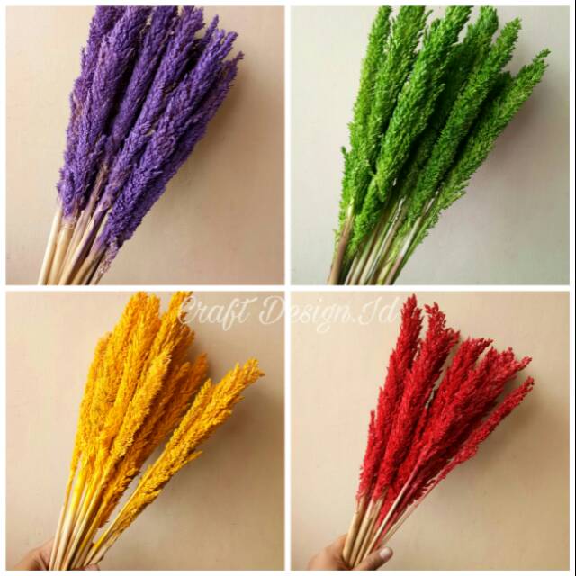 Bunga Kering Cantel Warna