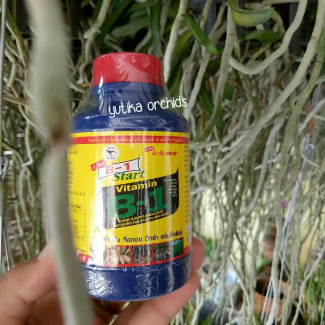 Pupuk B1 Thailand Kemasan 100ml