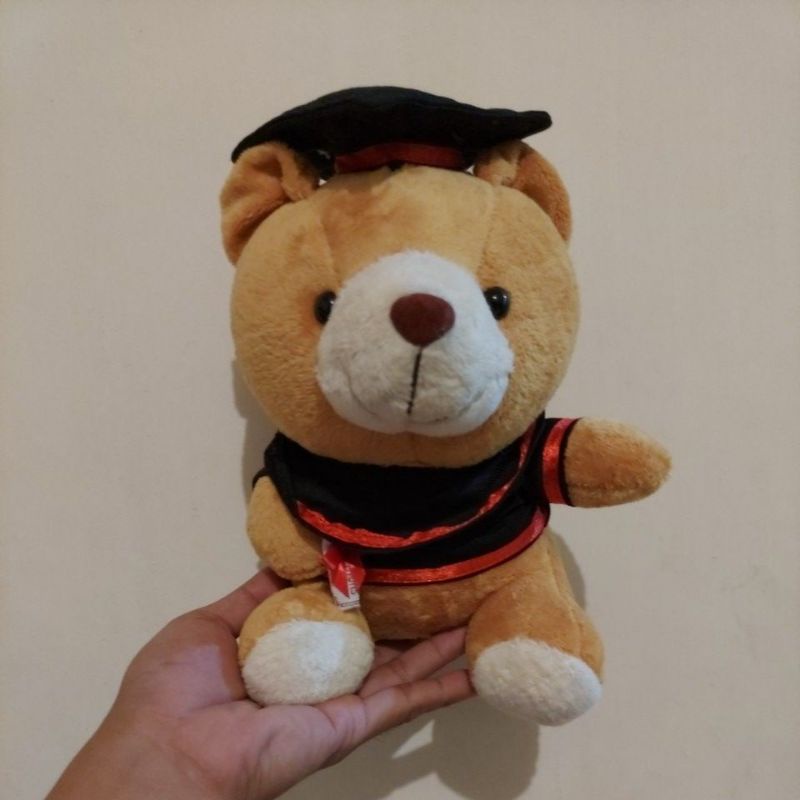 Boneka toga wisuda teddy bear beruang graduation souvenir Cute