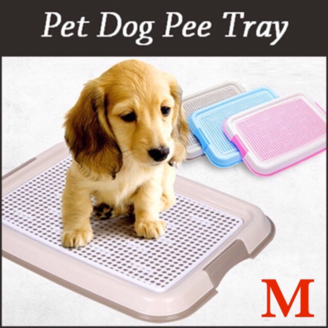 Pet toilet / tray alas tempat poop pee anjing / dog training BO-CO18