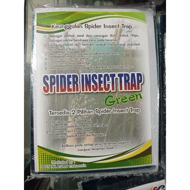 Spider  Insect Trap Green