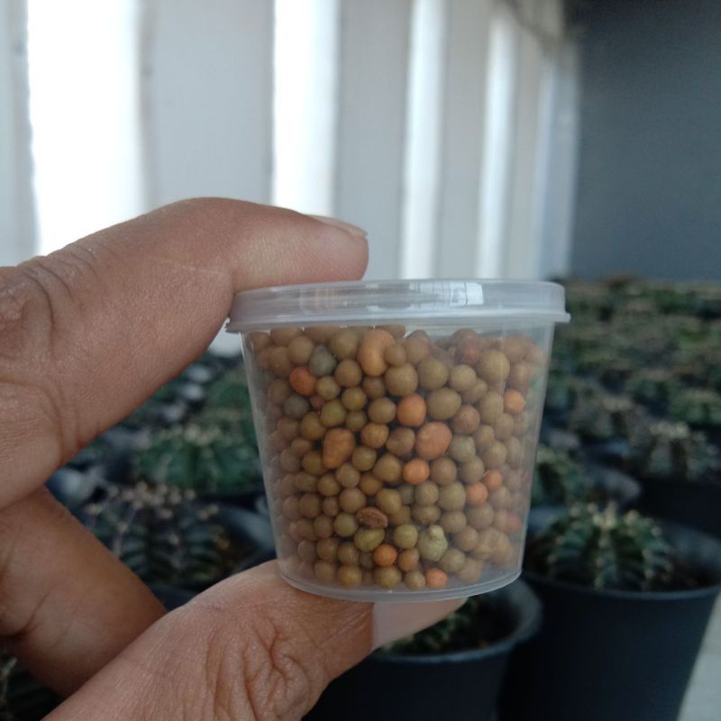 Pupuk kaktus/Osmocote/Dekastar/Slow Release Fertilizer