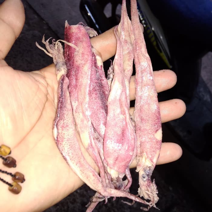 

Ikan asin CUMI SSCUMI ASIN PANJANG GEPENG