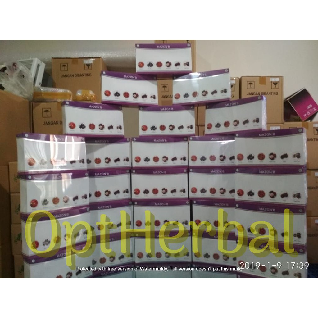 Obat Herbal Khusus Batu Ginjal Dan Batu Empedu-1