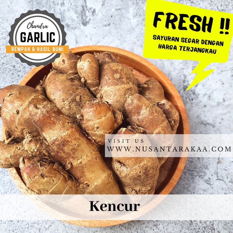 

kencur 1 kg