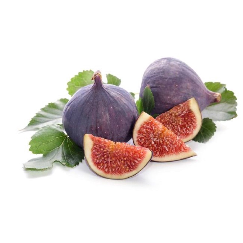 Bibit Buah Tin cepat berbuah