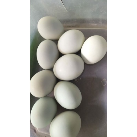 

telur asin khas solo