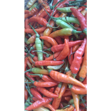 

Cabai Rawit 1kg
