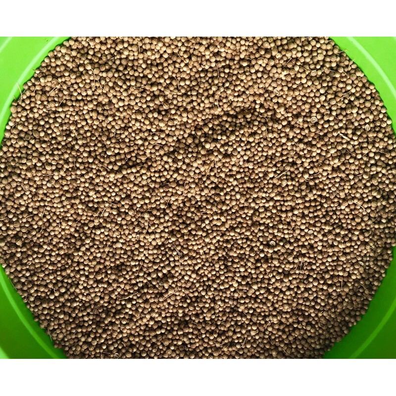 

Ketumbar Bulgaria Original / Coriander Seeds 1 Kg