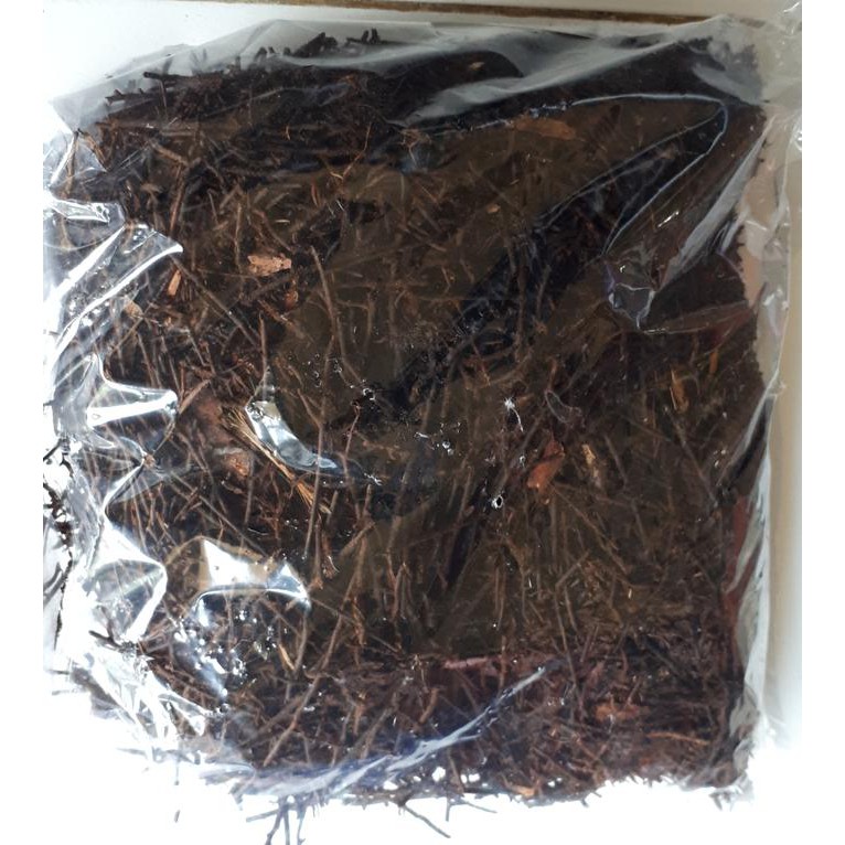 AKAR PAKIS CACAH / MEDIA TANAM ANGGREK / MEDIA BUNGA ANGGREK / PAKIS TANAMAN