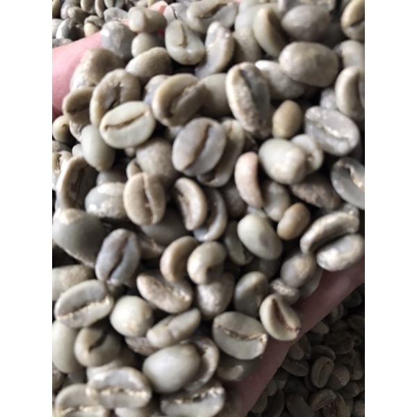 

Green Bean Arabika Flores Bajawa Full Wash G1