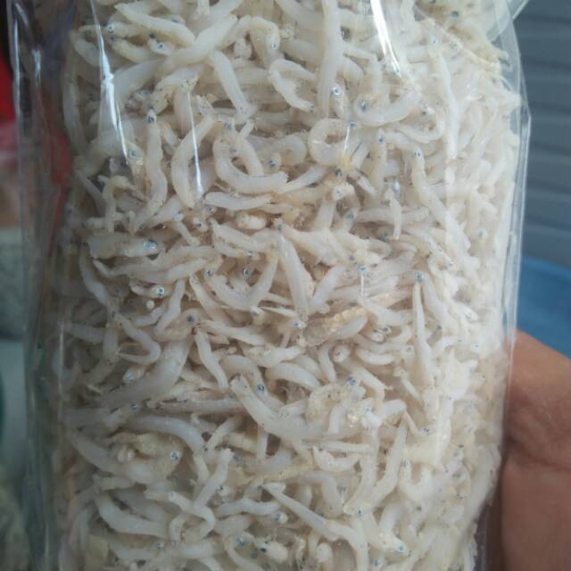

Teri nasi