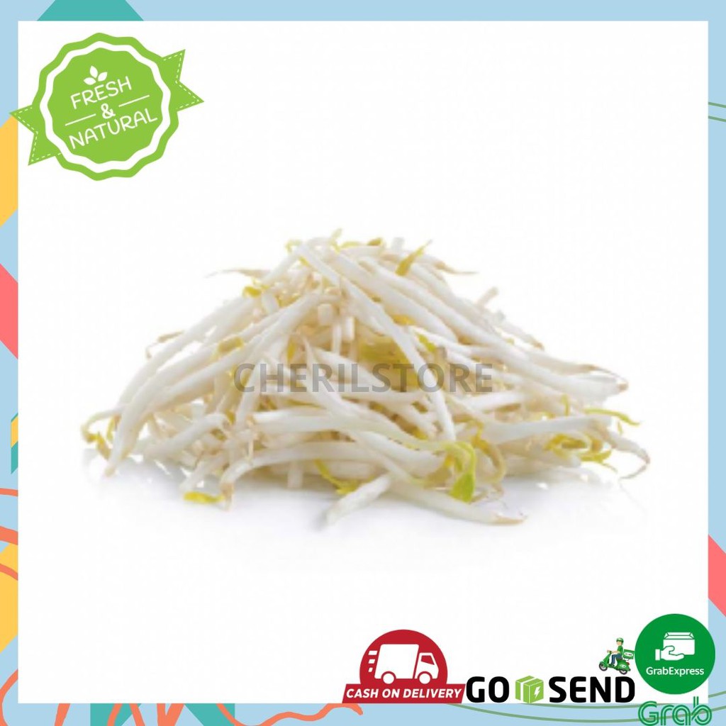 KECAMBAH / TAUGE / CAMBAH SAYUR 500GR / SAYURAN FRESH