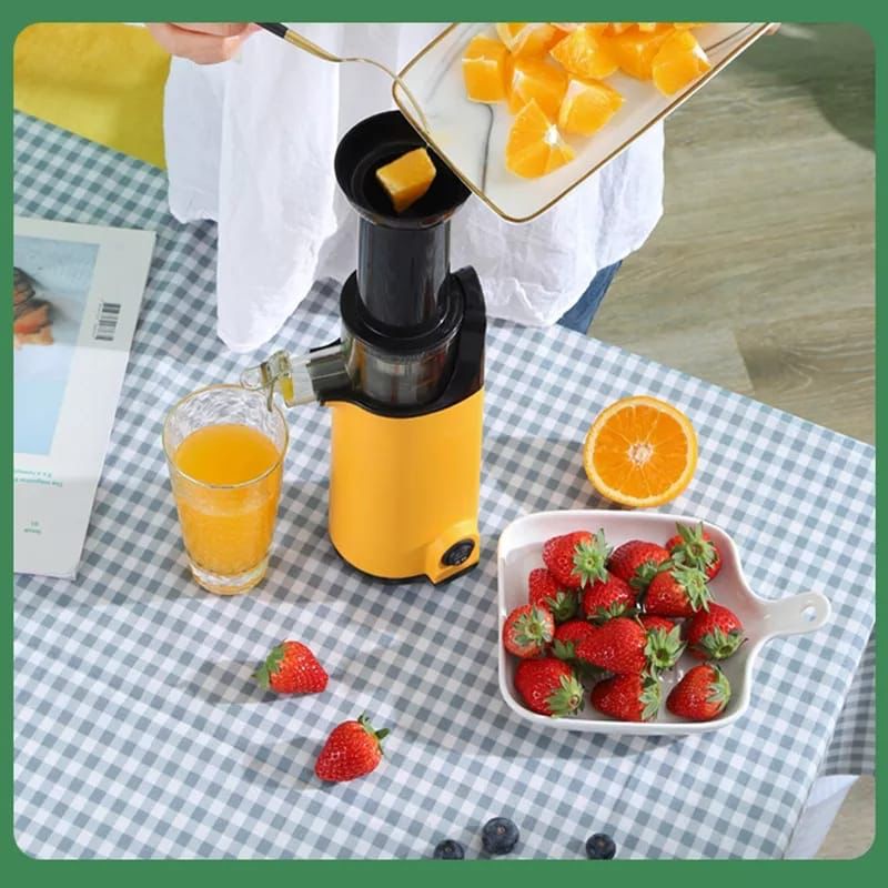 MINI ELECTRIKSLOW JUICER / PEMERAS BUAH DAN SAYUR HOKKY ACC