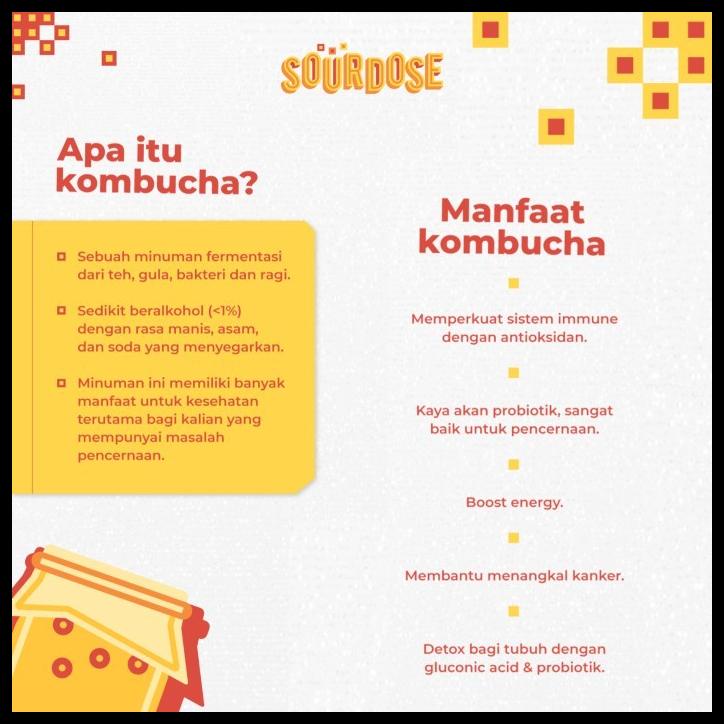 

DISKON TERBATAS !!! [BUNDLING, LEBIH HEMAT] KOMBUCHA 250ML - 4 BOTTLE | BY SOURDOSE TERLARIS