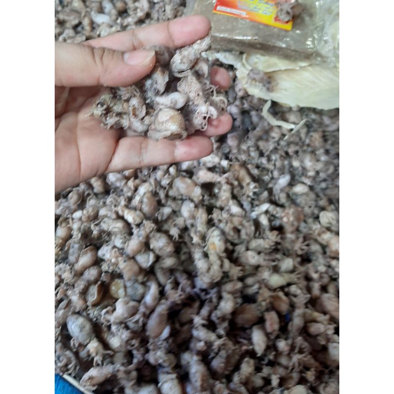 

Baby Cumi 250gr