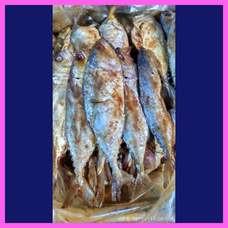 

IKAN PEDA MERAH