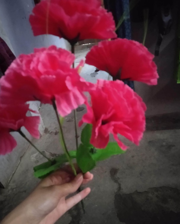 Bunga Artificial / Bunga Palsu / Carnation Win X6 /sahabat Wanita