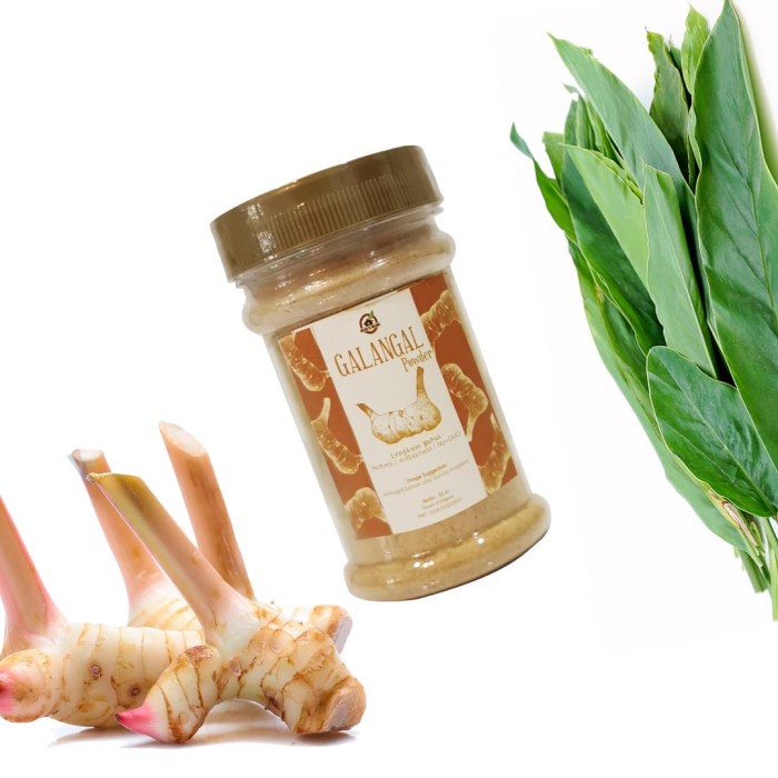 

01F1S House Of Organix Galangal Powder / Lengkuas Bubuk 60 Gr Fsfs201