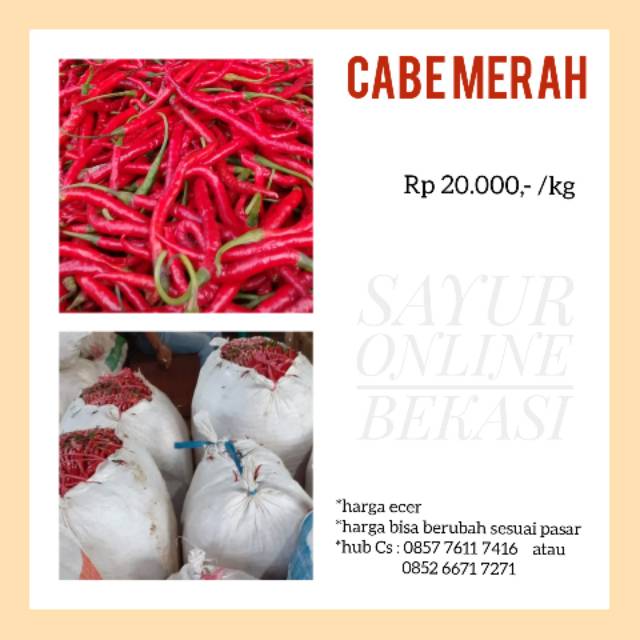 

CABE MERAH / CANE KERITIG / LOMBOK ABANG