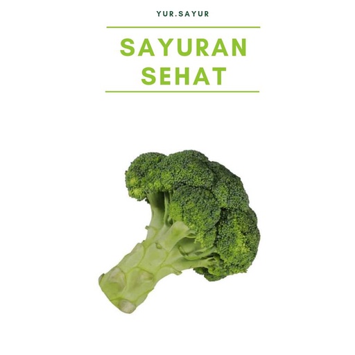 

BROKOLI SEGAR (± 300g)
