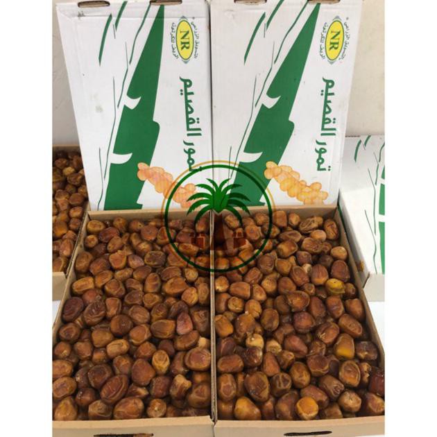 

Grosir Kurma Sukari 3Kg / Sukary Alqasim / Kurma Raja , Kurma Ruthab Rutob