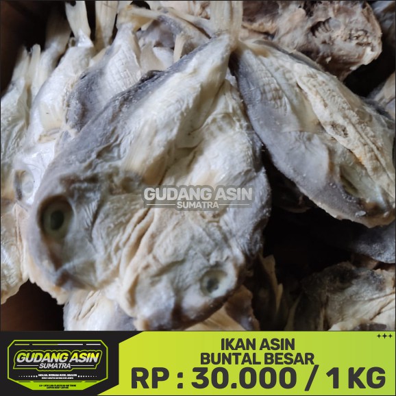 

IKAN ASIN BUNTAL BESAR/1KG