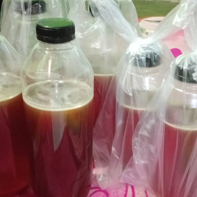 

Madu Hutan Sumatera Asli