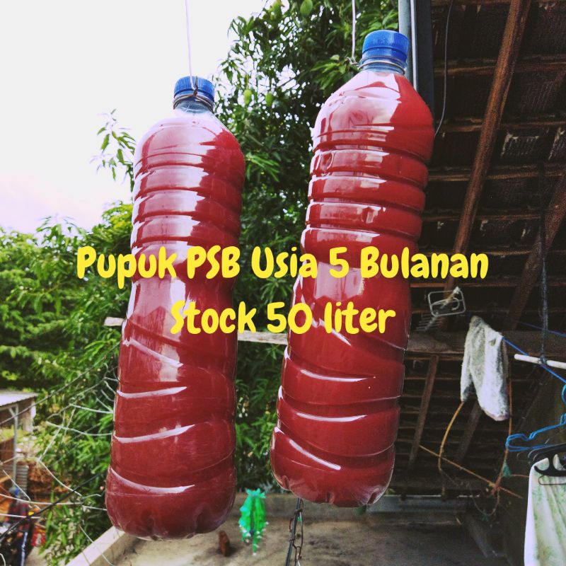 Pupuk Bakteri photosintesis PSB