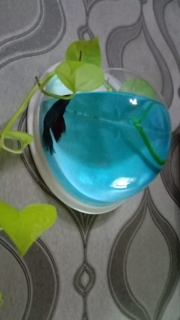 [ready] Peek Me Bye Bye Odor