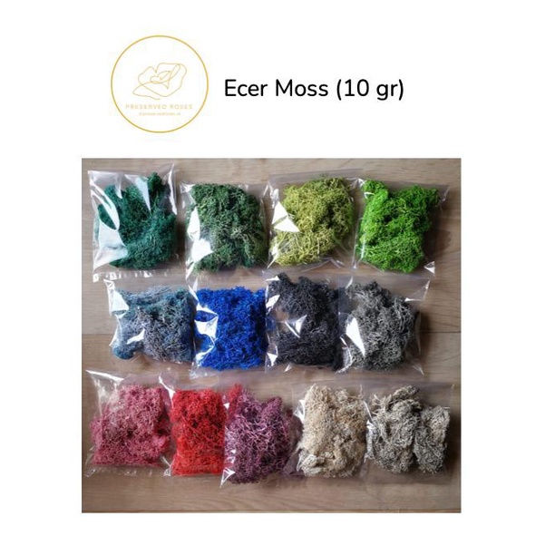 10 gr Preserved Moss high quality / Natural reindeer Moss