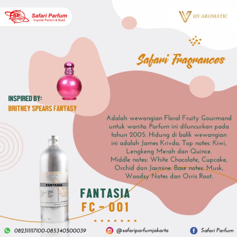 FANTASIA inspired by BRITN3Y SP3ARS F4NTASY 100ML UV