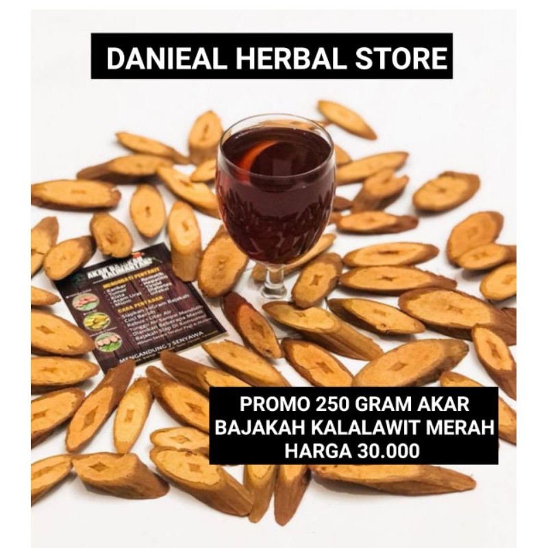 

Akar Bajakah Kalalawit Kering 250 Gram ASLI KALIMANTAN / BAJAKAH KALALAWIT MERAH