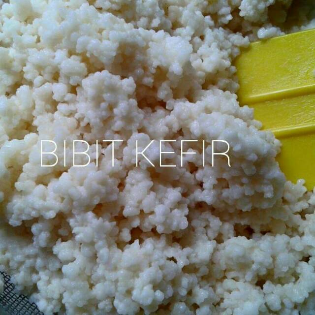 

Grains kefir