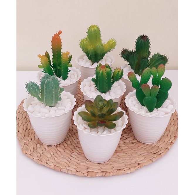 KAKTUS PALSU / Kaktus Imitasi / Kaktus Plastik / Kaktus Artificial cantik