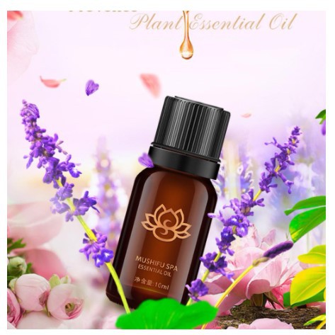 [PEWANGI] - MUSHIFU SPA Pure Essential Fragrance Oils Aromatherapy Diffusers