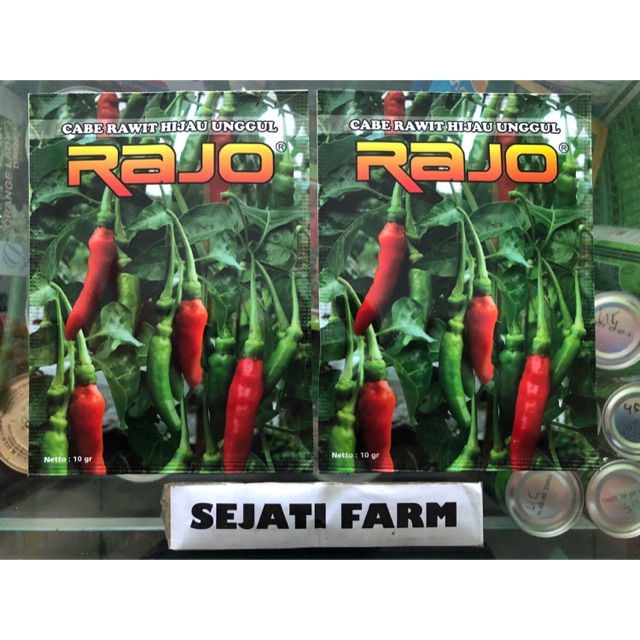 Benih Cabai Rawit - RAJO